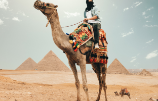 Aumron Travel Link